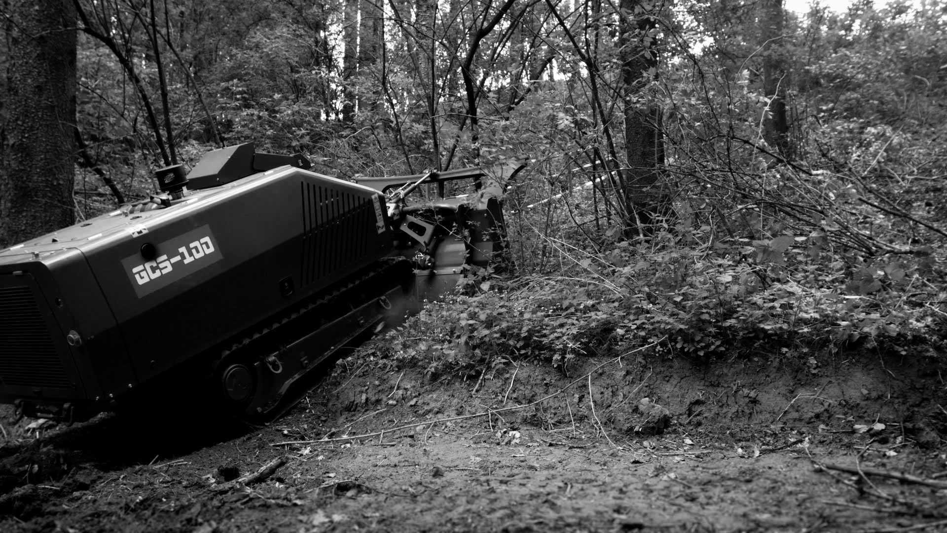 Vereinte Kräfte gegen Landminen